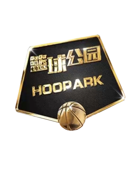 议以